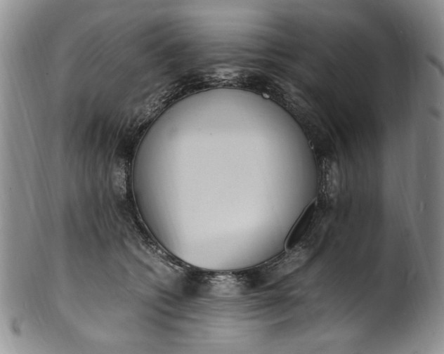 X0000100980562200807081246