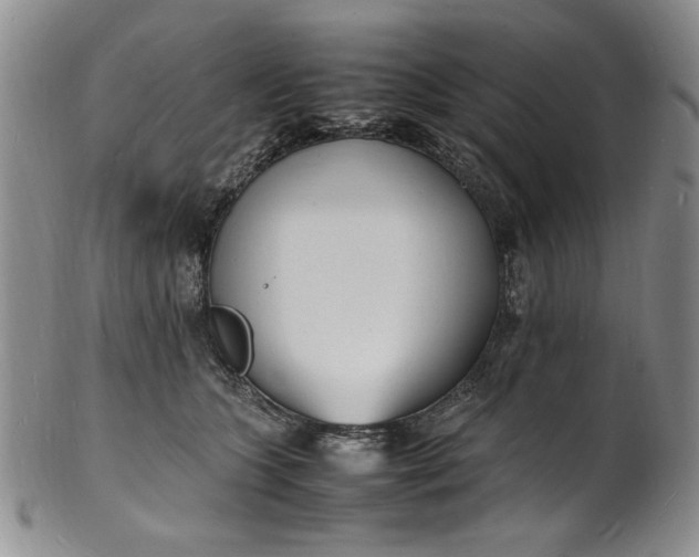 X0000100980563200807081246