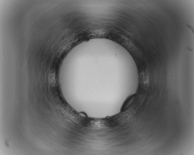 X0000100980564200807081246