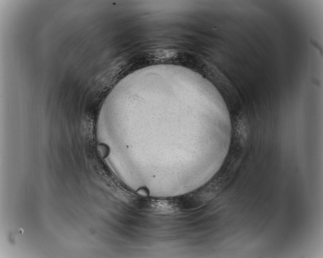 X0000100980565200807081246