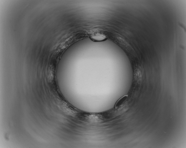 X0000100980566200807081246