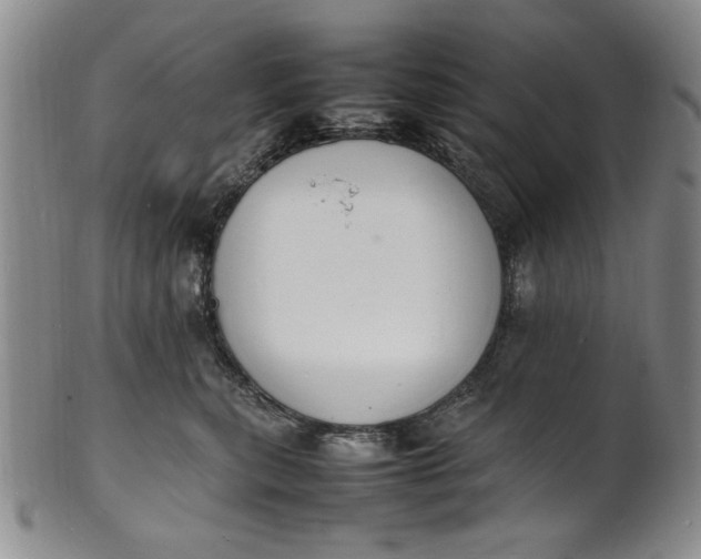 X0000100980567200807081246