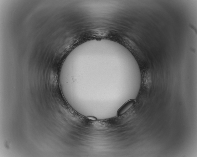 X0000100980568200807081246