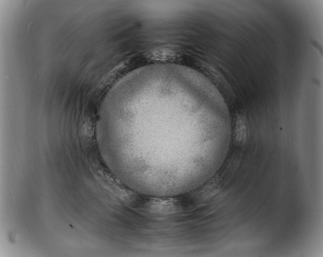 X0000100980569200807081246