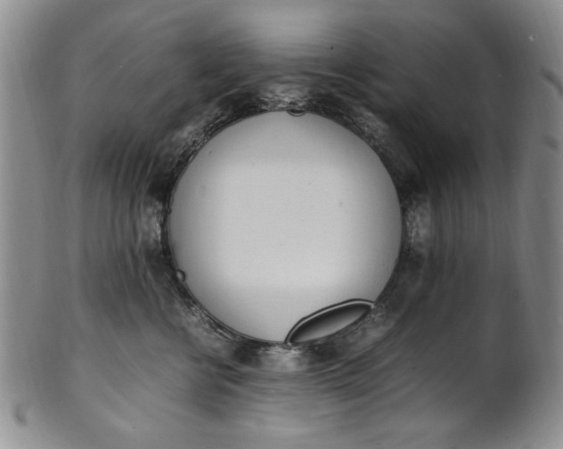 X0000100980570200807081246