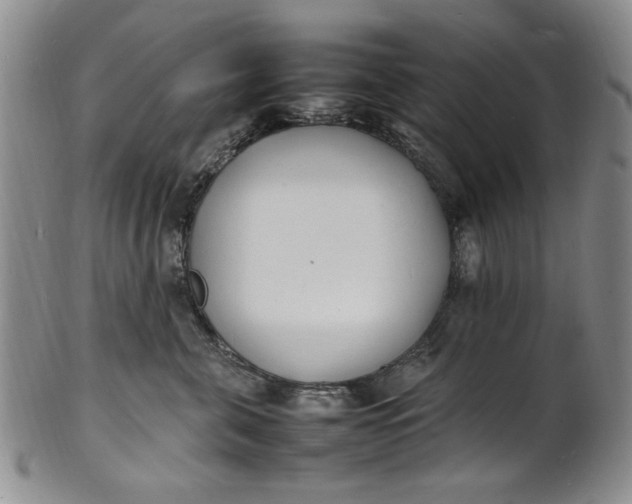 X0000100980571200807081246