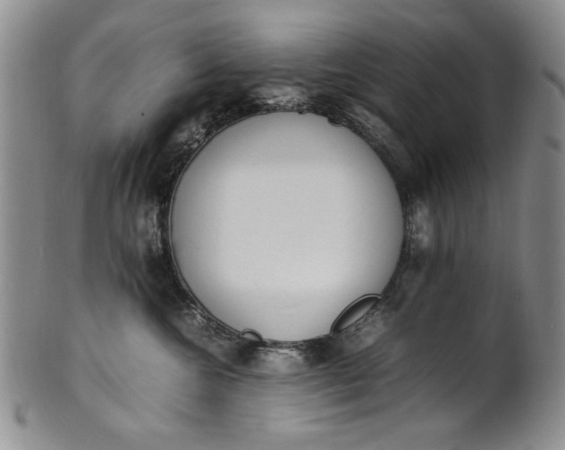 X0000100980572200807081246