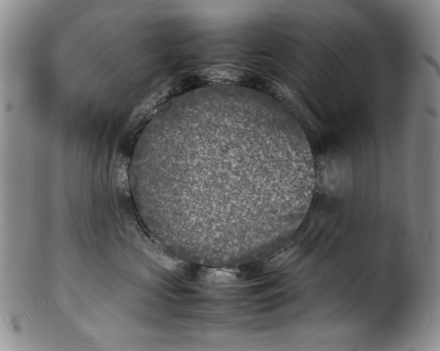 X0000100980573200807081246