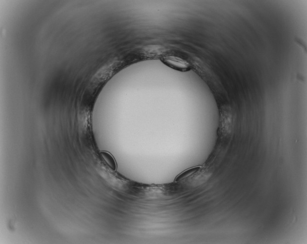 X0000100980574200807081246