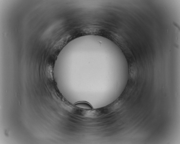 X0000100980575200807081246