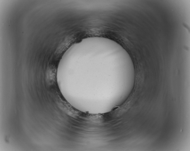 X0000100980576200807081246