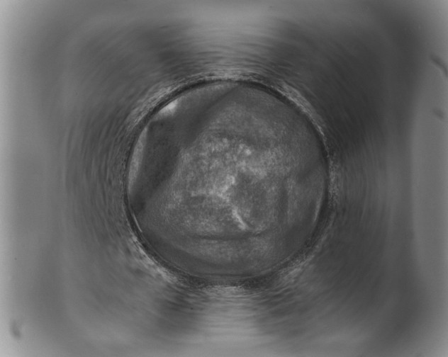 X0000100980577200807081246