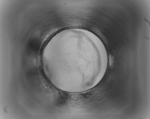 X0000100980579200807081246