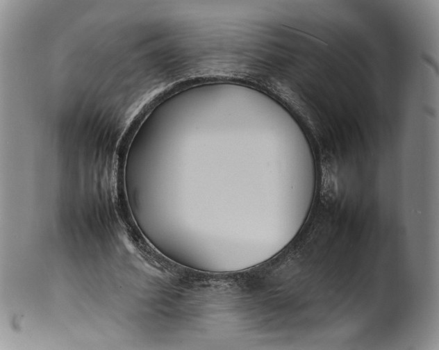 X0000100980580200807081246