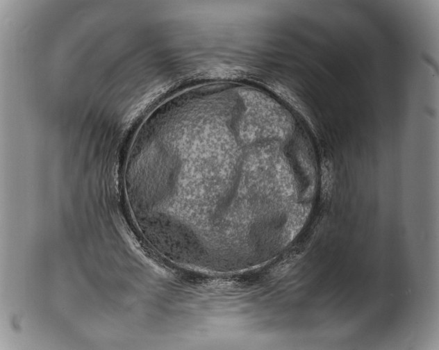 X0000100980581200807081246