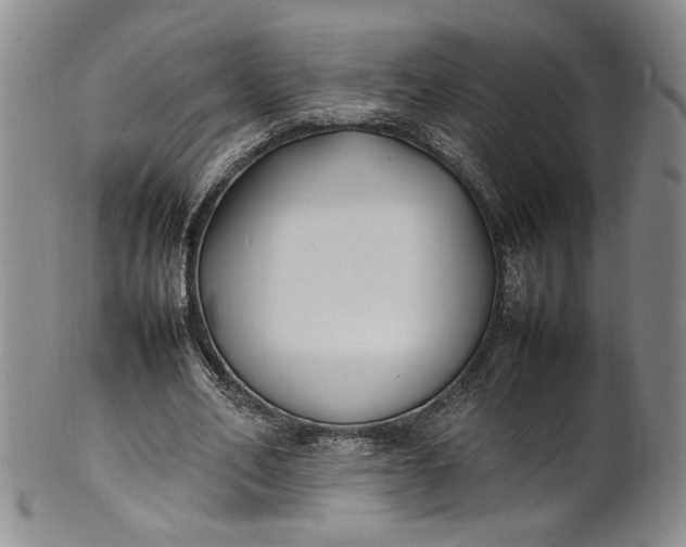 X0000100980582200807081246