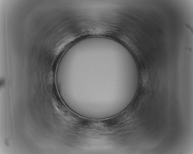 X0000100980583200807081246