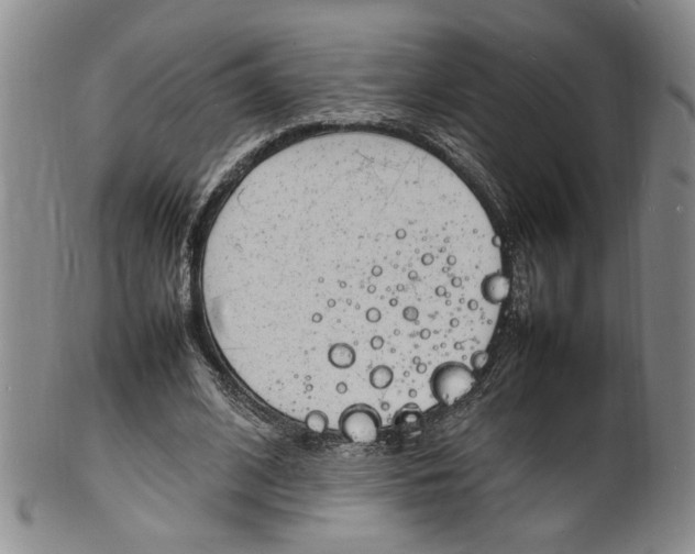 X0000100980584200807081245