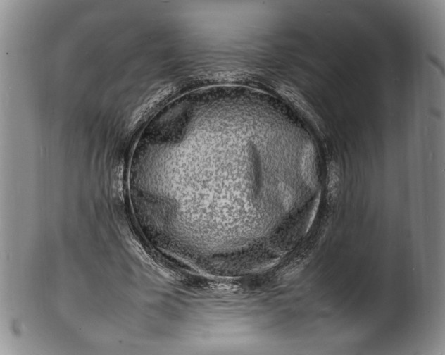 X0000100980585200807081245