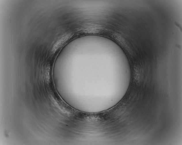 X0000100980586200807081245