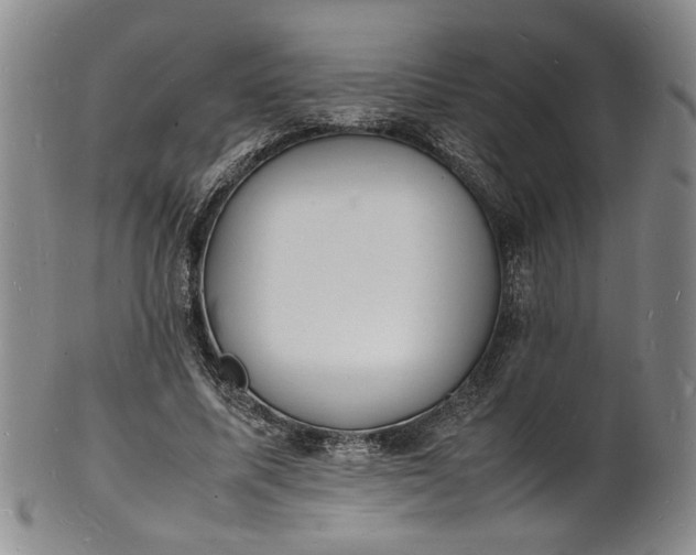 X0000100980587200807081245