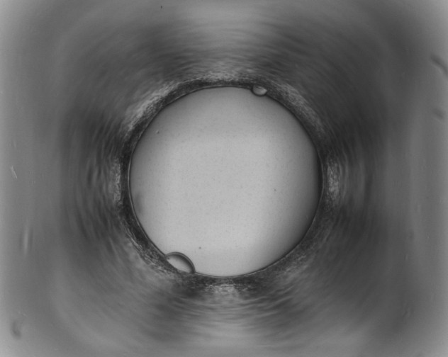 X0000100980588200807081245