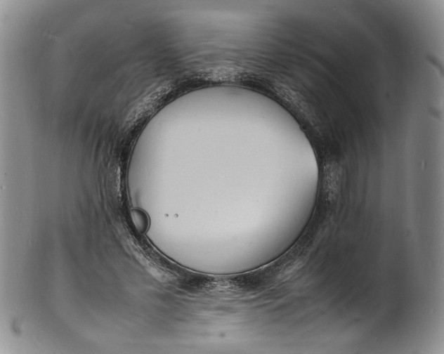 X0000100980589200807081245