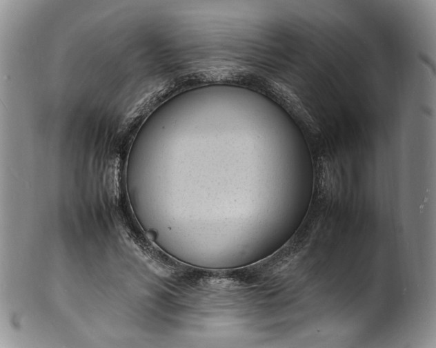 X0000100980590200807081245