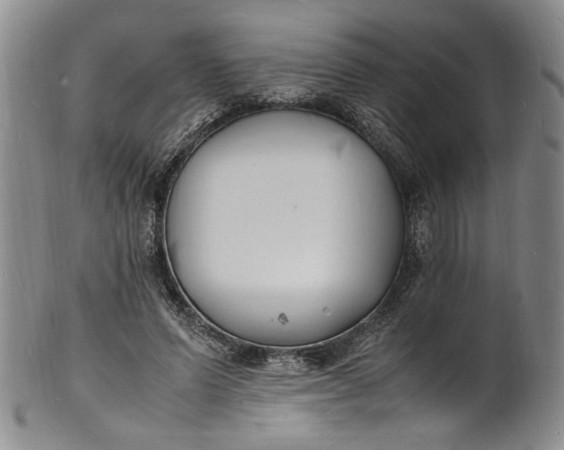 X0000100980591200807081245