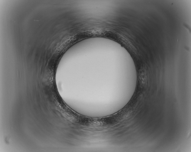 X0000100980593200807081245