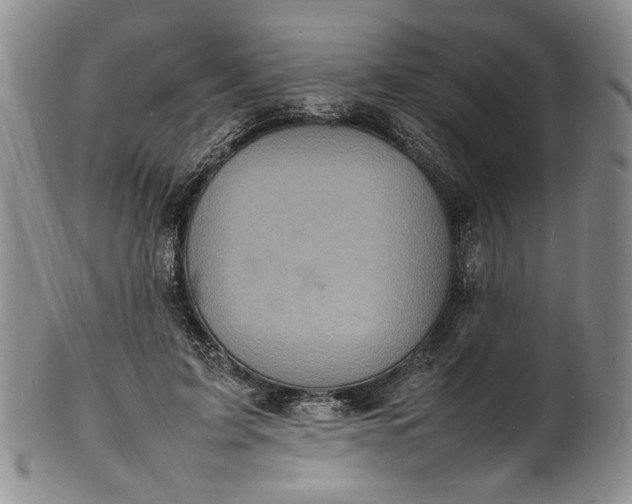 X0000100980595200807081245