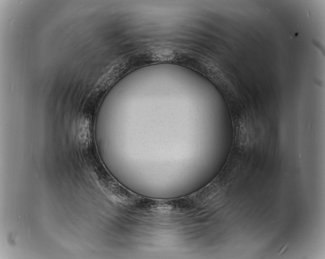 X0000100980598200807081245