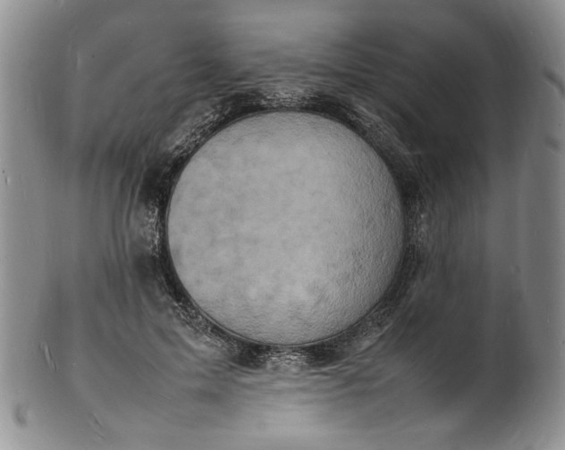 X0000100980599200807081245