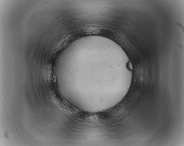 X0000100980600200807081245