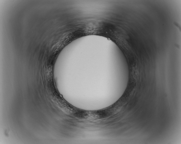 X0000100980601200807081245