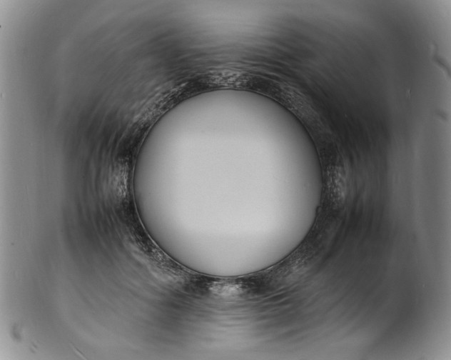 X0000100980602200807081245