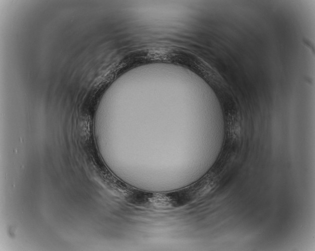 X0000100980603200807081245