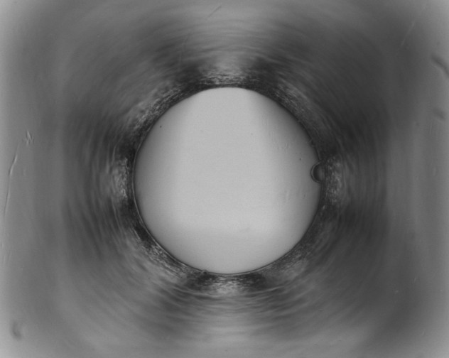 X0000100980604200807081245