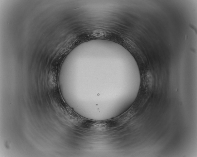 X0000100980606200807081245