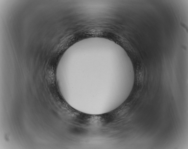 X0000100980609200807081245