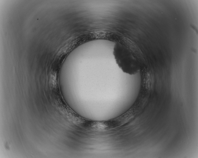 X0000100980610200807081245