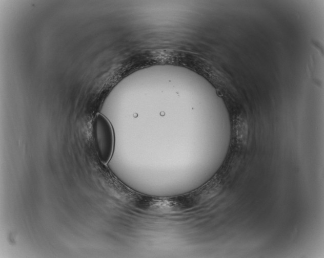 X0000100980611200807081245