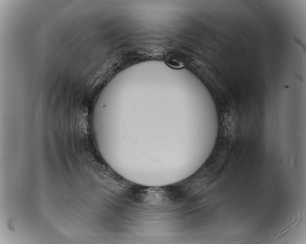 X0000100980612200807081245