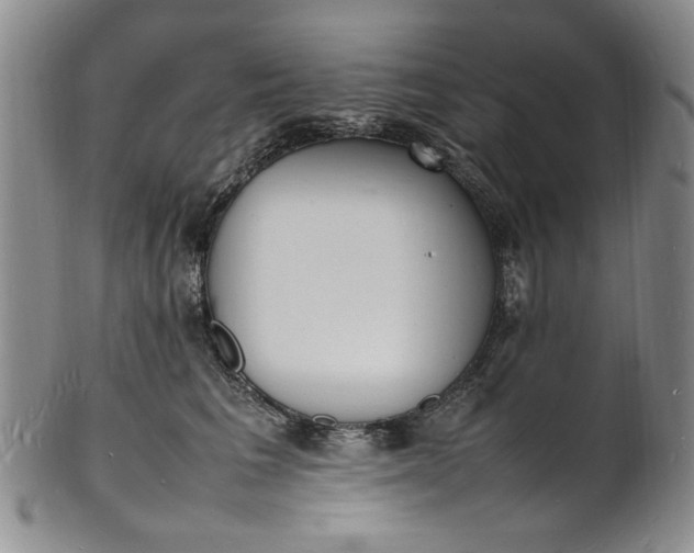 X0000100980613200807081245