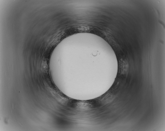 X0000100980614200807081245