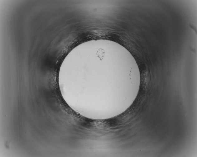 X0000100980615200807081245