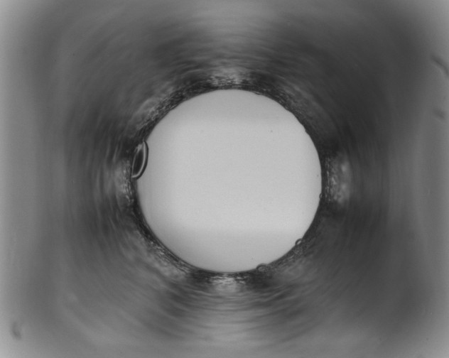 X0000100980616200807081245