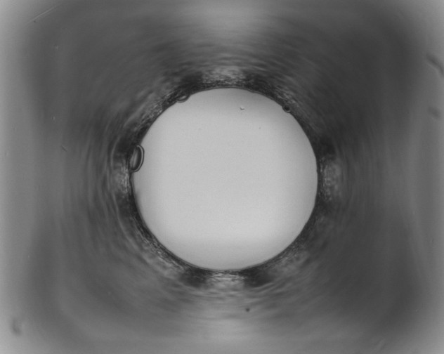 X0000100980617200807081245