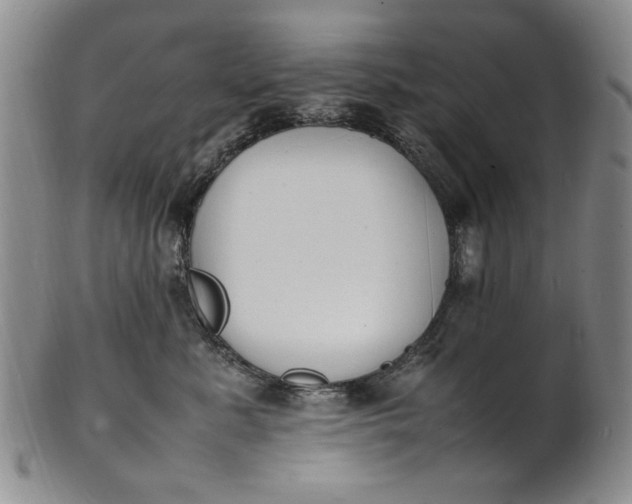 X0000100980619200807081245