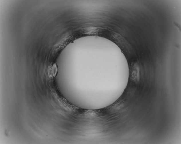 X0000100980620200807081245